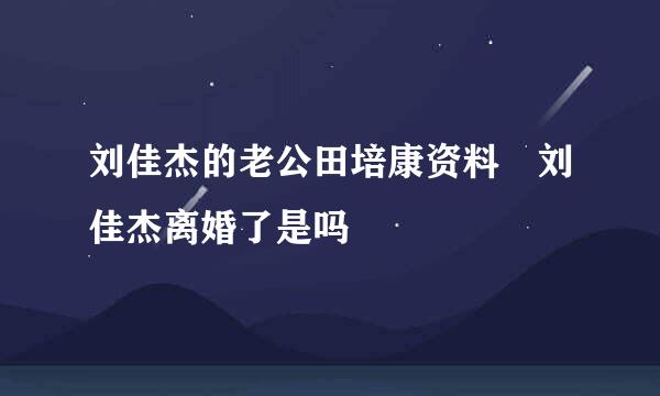 刘佳杰的老公田培康资料 刘佳杰离婚了是吗