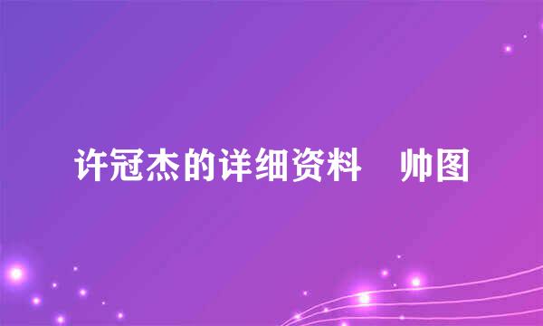 许冠杰的详细资料 帅图