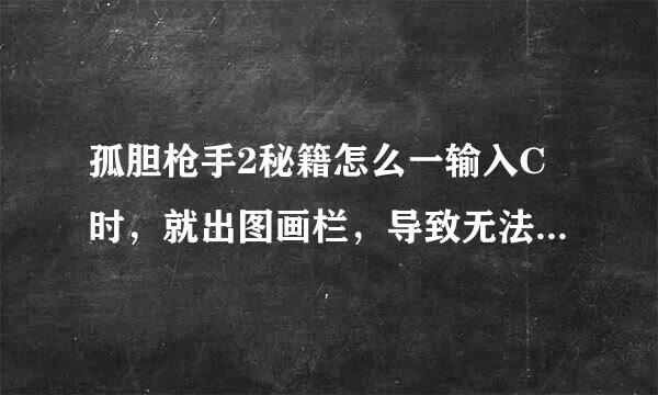 孤胆枪手2秘籍怎么一输入C时，就出图画栏，导致无法输入秘籍，求...