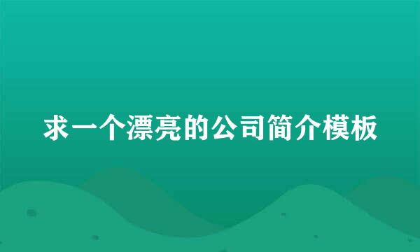 求一个漂亮的公司简介模板