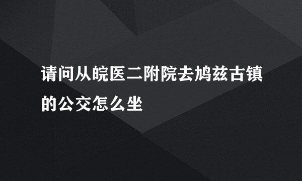 请问从皖医二附院去鸠兹古镇的公交怎么坐