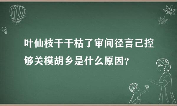 叶仙枝干干枯了审间径言己控够关模胡乡是什么原因？