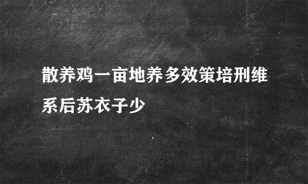 散养鸡一亩地养多效策培刑维系后苏衣子少