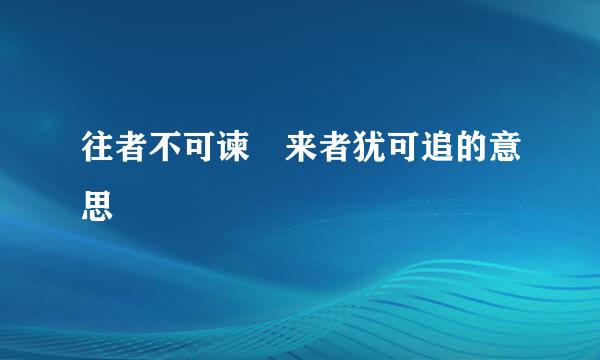 往者不可谏 来者犹可追的意思