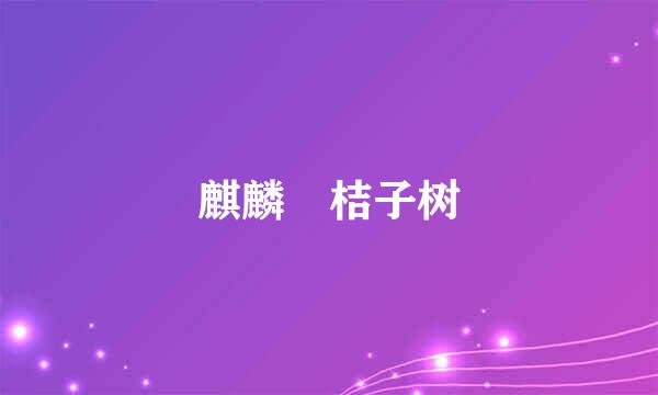 麒麟 桔子树