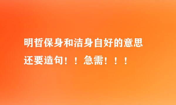 明哲保身和洁身自好的意思 还要造句！！急需！！！