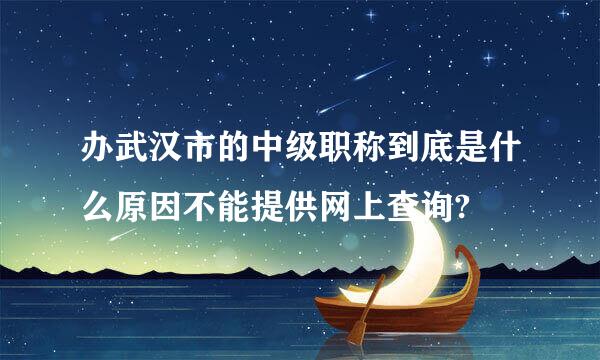 办武汉市的中级职称到底是什么原因不能提供网上查询?