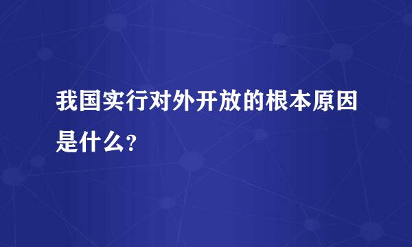 我国实行对外开放的根本原因是什么？