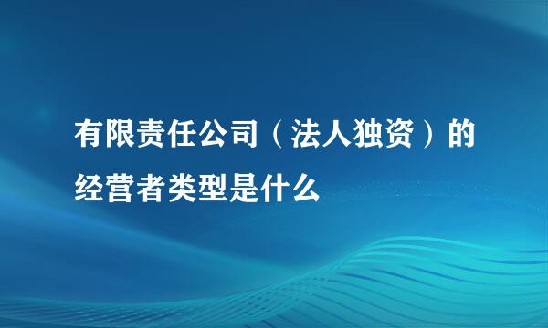 有限责任公司（法人独资）的经营者类型是什么