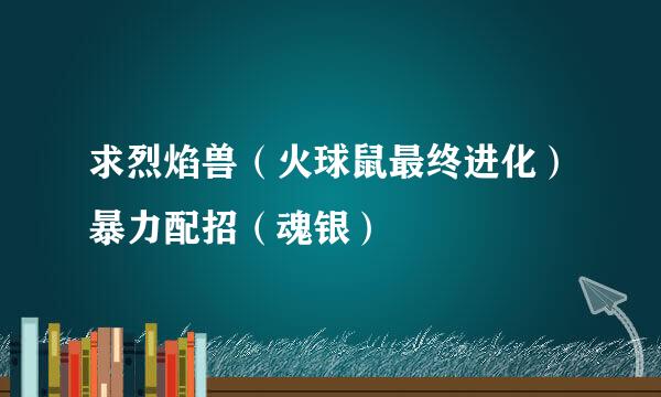 求烈焰兽（火球鼠最终进化）暴力配招（魂银）