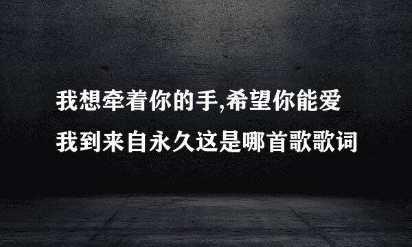 我想牵着你的手,希望你能爱我到来自永久这是哪首歌歌词