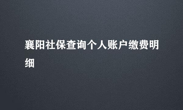 襄阳社保查询个人账户缴费明细