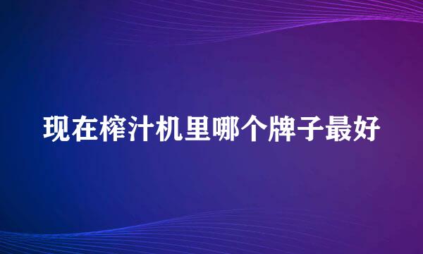 现在榨汁机里哪个牌子最好