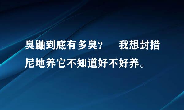 臭鼬到底有多臭？ 我想封措尼地养它不知道好不好养。