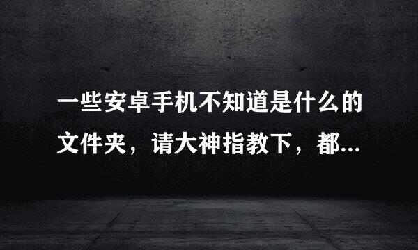 一些安卓手机不知道是什么的文件夹，请大神指教下，都是什么东西哪个能删除