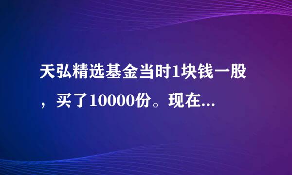 天弘精选基金当时1块钱一股，买了10000份。现在单位净值0.489，累计净值1.5，这是什么意思，卖出去赔钱吗?