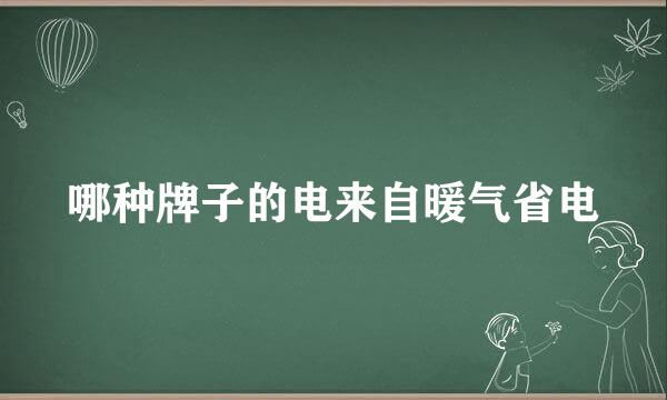 哪种牌子的电来自暖气省电