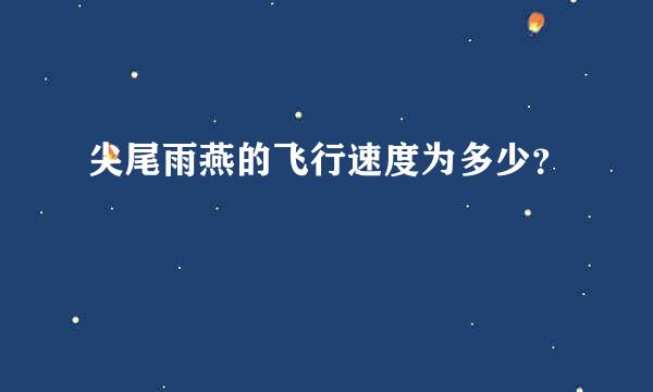 尖尾雨燕的飞行速度为多少？