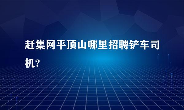 赶集网平顶山哪里招聘铲车司机?