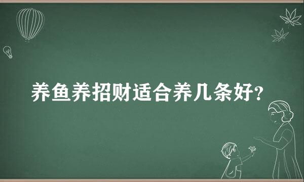 养鱼养招财适合养几条好？