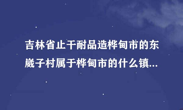 吉林省止干耐品造桦甸市的东崴子村属于桦甸市的什么镇？有谁知道请告知，谢谢（详细内容）