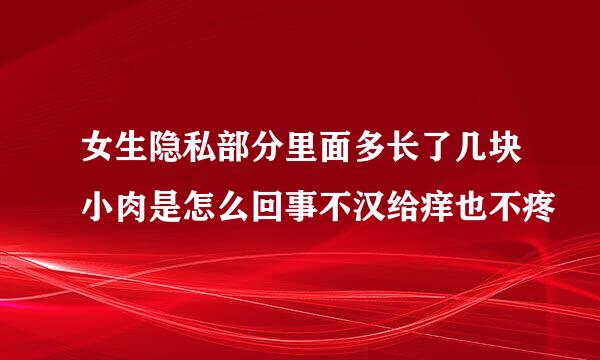 女生隐私部分里面多长了几块小肉是怎么回事不汉给痒也不疼