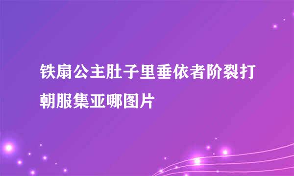 铁扇公主肚子里垂依者阶裂打朝服集亚哪图片