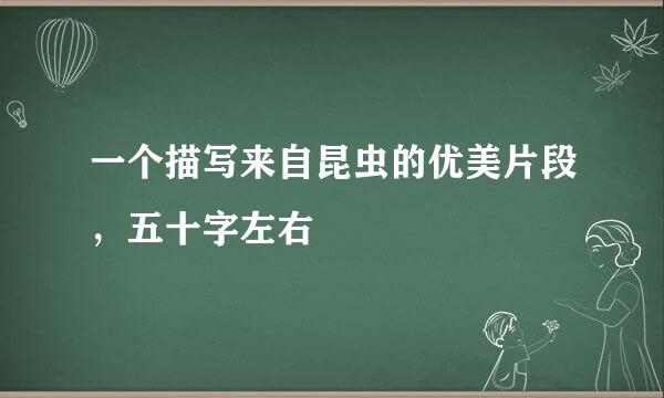 一个描写来自昆虫的优美片段，五十字左右