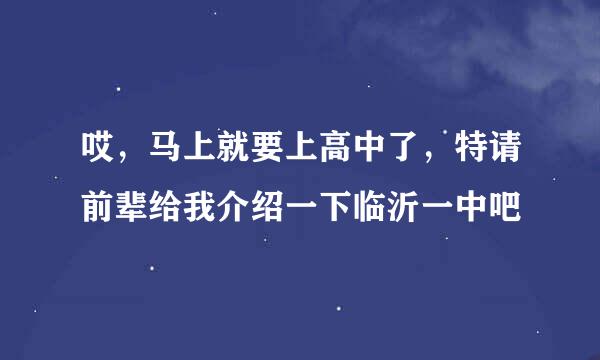 哎，马上就要上高中了，特请前辈给我介绍一下临沂一中吧