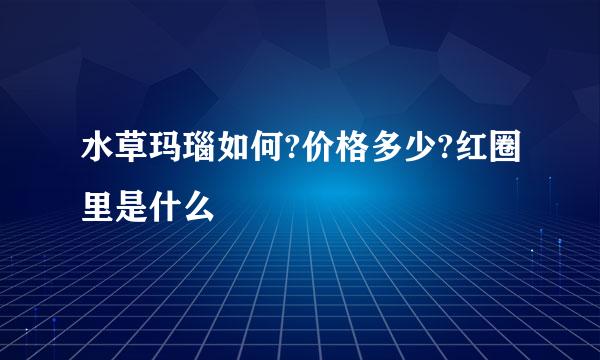 水草玛瑙如何?价格多少?红圈里是什么