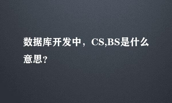 数据库开发中，CS,BS是什么意思？