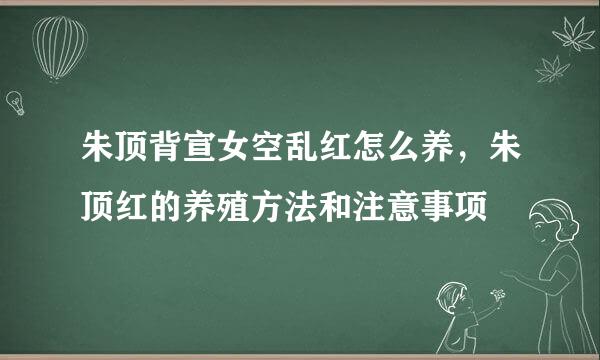 朱顶背宣女空乱红怎么养，朱顶红的养殖方法和注意事项