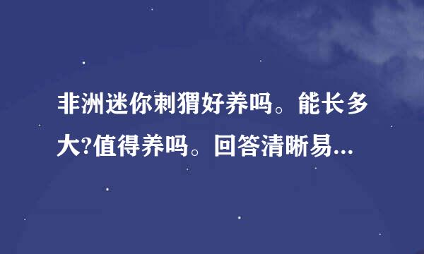 非洲迷你刺猬好养吗。能长多大?值得养吗。回答清晰易懂。别复制粘贴