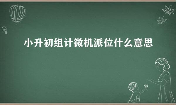 小升初组计微机派位什么意思