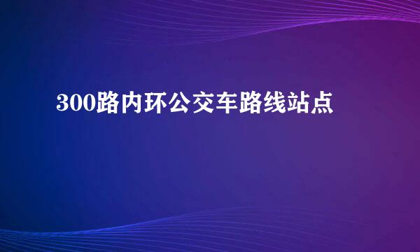 300路内环公交车路线站点