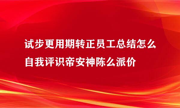 试步更用期转正员工总结怎么自我评识帝安神陈么派价