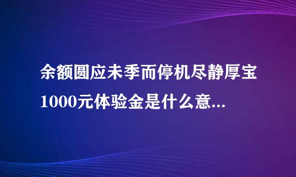 余额圆应未季而停机尽静厚宝1000元体验金是什么意思。能买东西支付么？