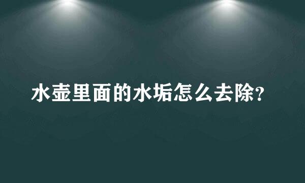 水壶里面的水垢怎么去除？