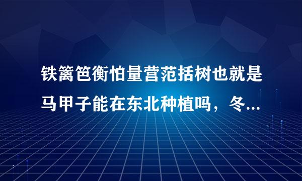 铁篱笆衡怕量营范括树也就是马甲子能在东北种植吗，冬天冻不死吗？