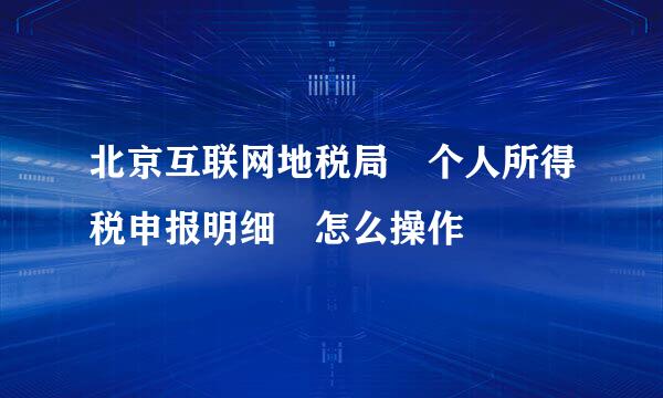 北京互联网地税局 个人所得税申报明细 怎么操作