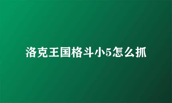 洛克王国格斗小5怎么抓