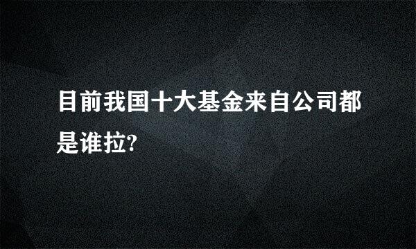 目前我国十大基金来自公司都是谁拉?