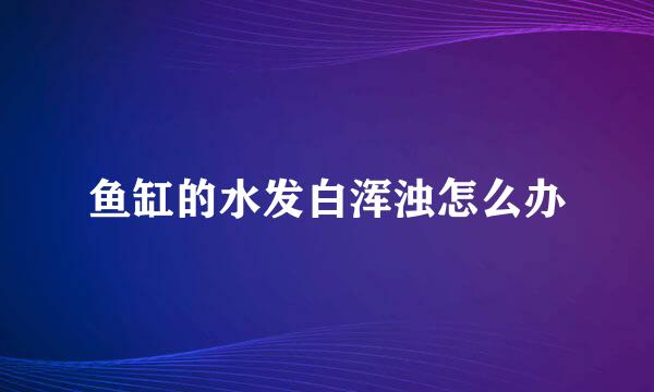 鱼缸的水发白浑浊怎么办