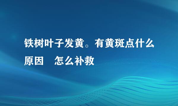 铁树叶子发黄。有黄斑点什么原因 怎么补救