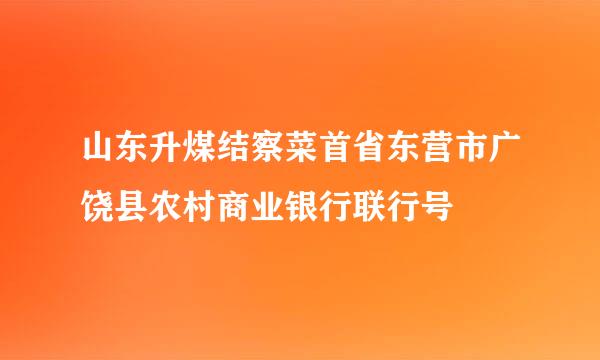 山东升煤结察菜首省东营市广饶县农村商业银行联行号