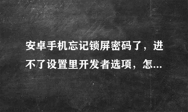 安卓手机忘记锁屏密码了，进不了设置里开发者选项，怎么连上用电脑