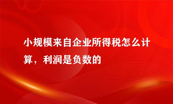 小规模来自企业所得税怎么计算，利润是负数的