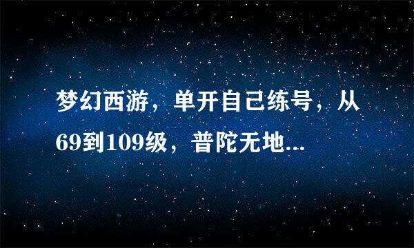 梦幻西游，单开自己练号，从69到109级，普陀无地府哪个比较好？或者女大唐，哪个好组队，赚钱养号！