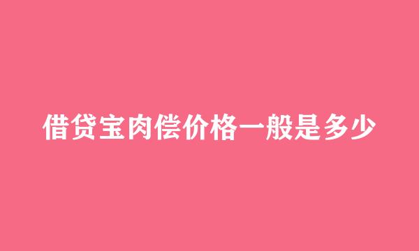 借贷宝肉偿价格一般是多少