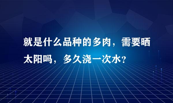 就是什么品种的多肉，需要晒太阳吗，多久浇一次水？